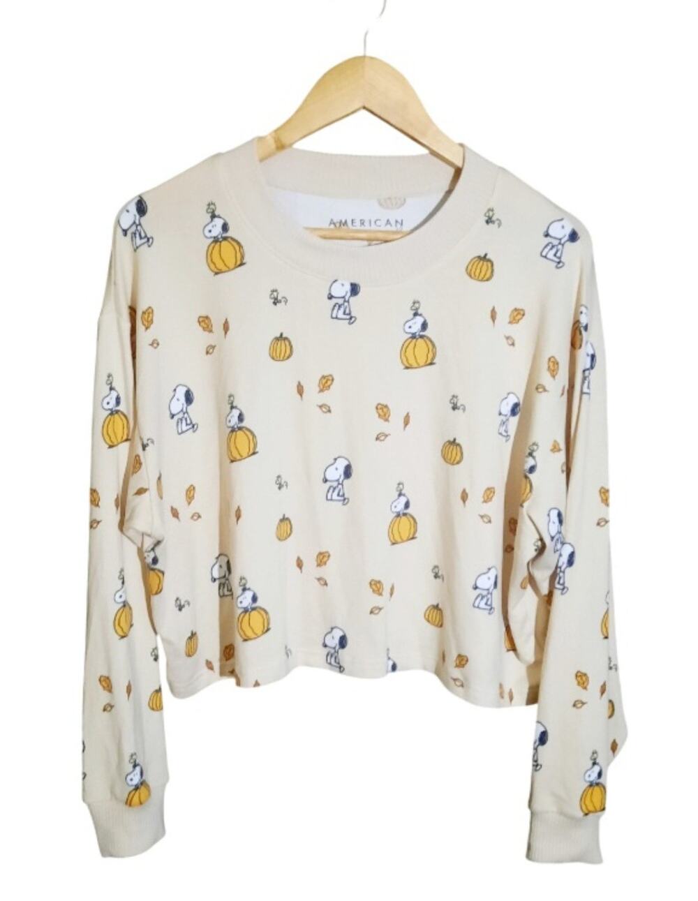 American Eagle Peanuts Fall Pumpkin Print Plush PJ Crop Long Sleeve Top Size S